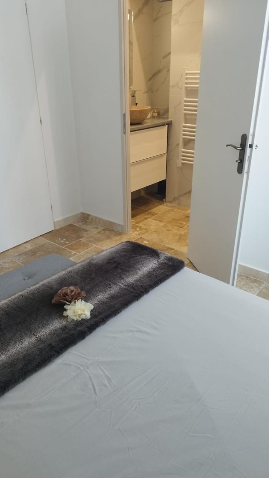 Appartement Lumineux En Rdc Bourgoin-Jallieu Екстериор снимка
